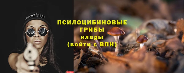 spice Аркадак