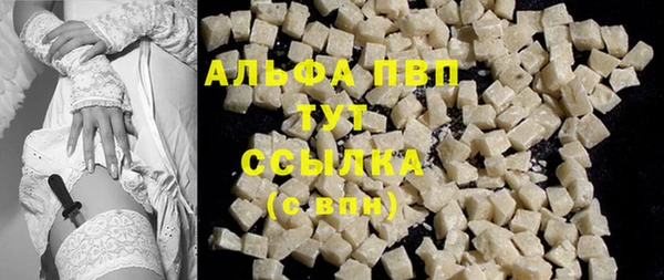 spice Аркадак
