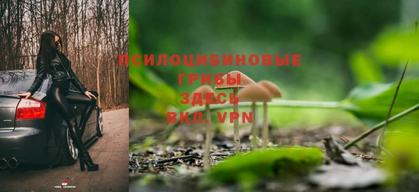 spice Аркадак