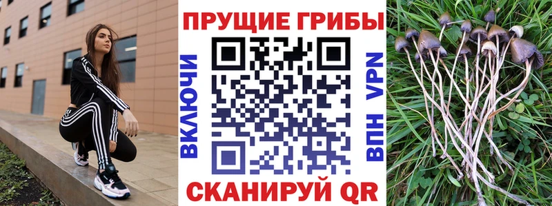 Псилоцибиновые грибы ЛСД  Калачинск 