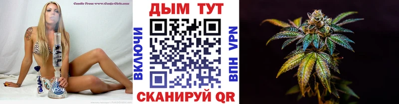Конопля сатива  как найти   Калачинск 